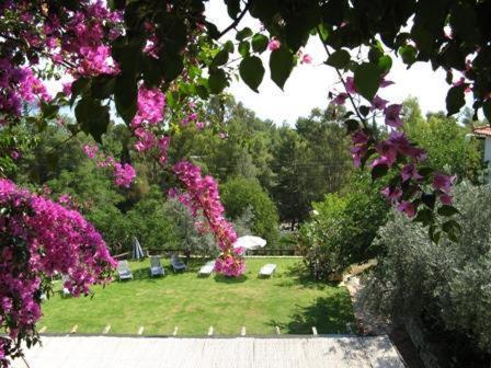 Hotel Heleni Apartments Epidaurus ภายนอก รูปภาพ